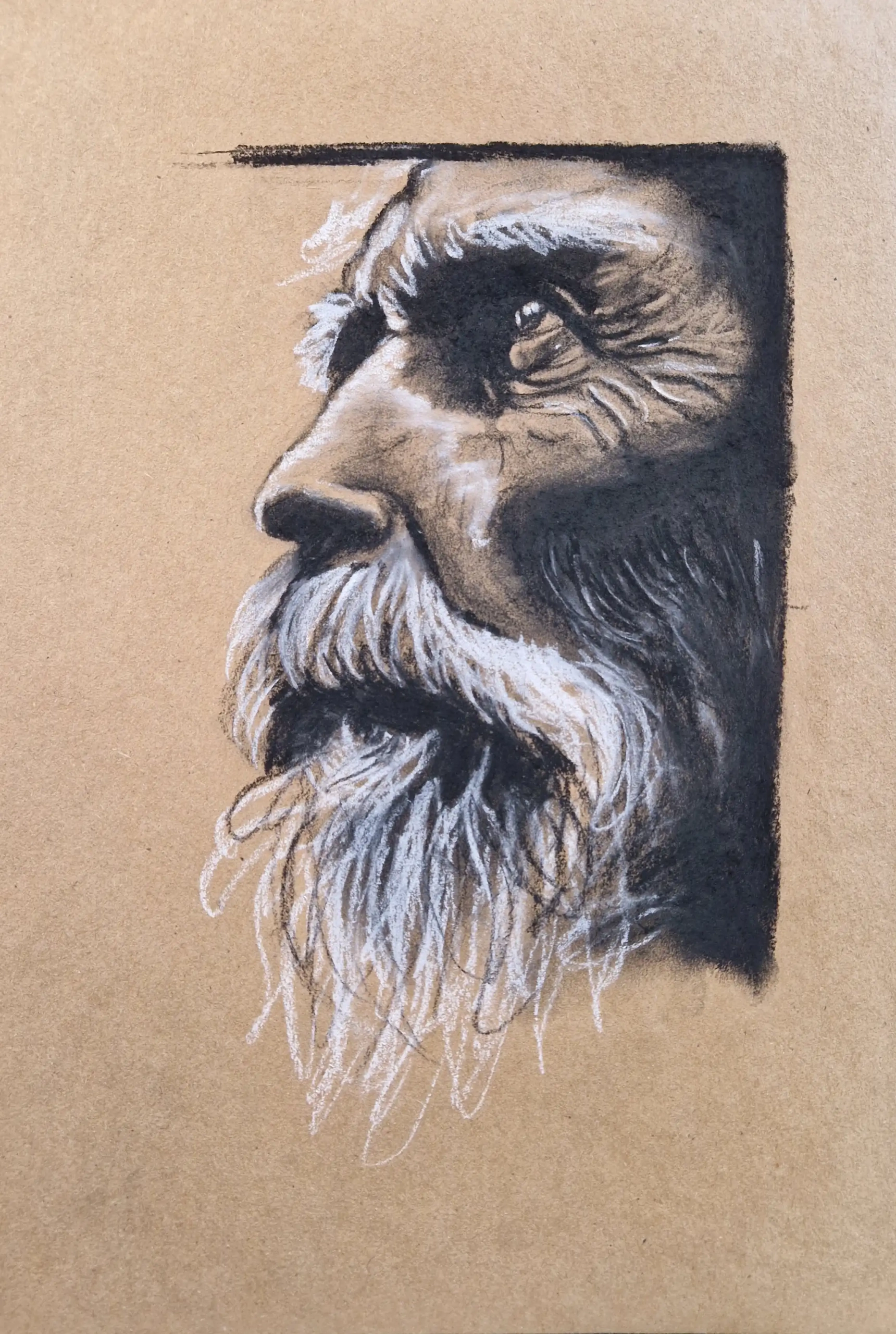 Vieil homme fusain et pastel papier kraft cassandra gulbert
