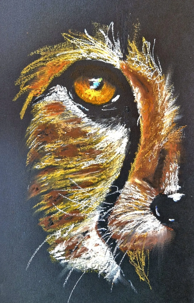 dessin jaguar pastel à l'huile sur feuille noire - cassandra gulbert