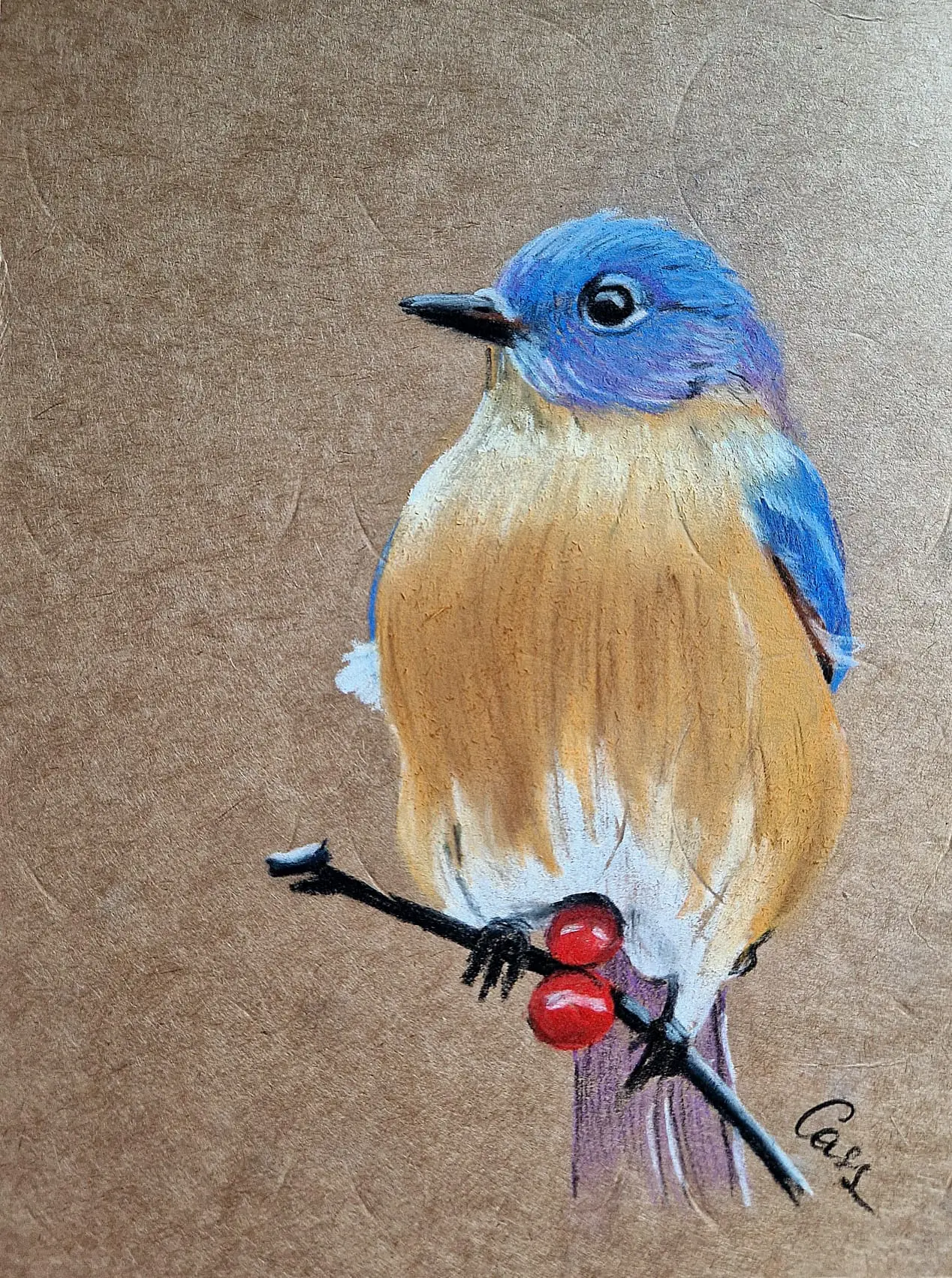 Mesange pastel sec cassandra gulbert